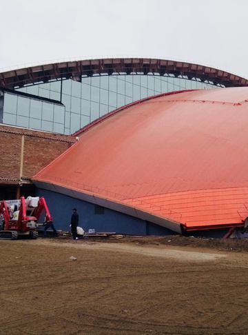 Что нам стоит ледовую арену построить: Palazzani TSJ35/C Bi-energy на реконструкции стадиона для XXIX Всемирной зимней универсиады-2019